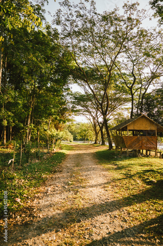 Malaysia, 3 May 2020 - Rural alley view during summer