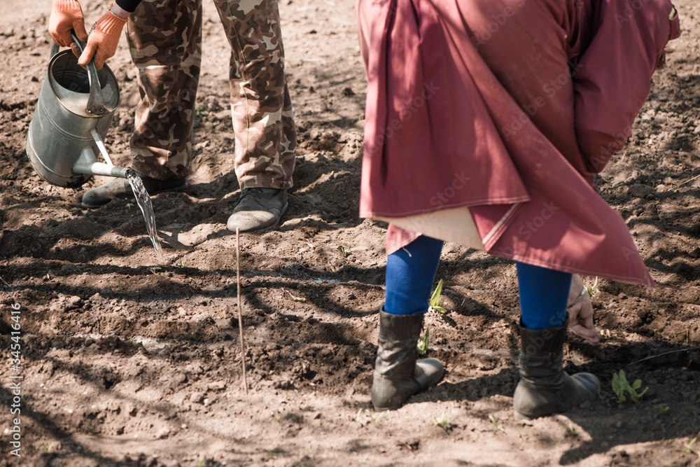 farmers seeding and poring water over seeds in spring farmland ground farmers seeding and poring water over seeds in spring farmland ground