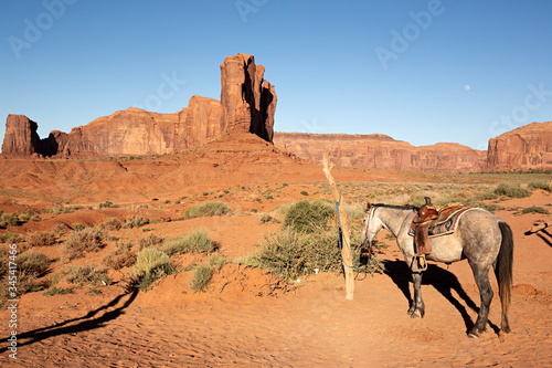 Caballo en Utah  Arizona.