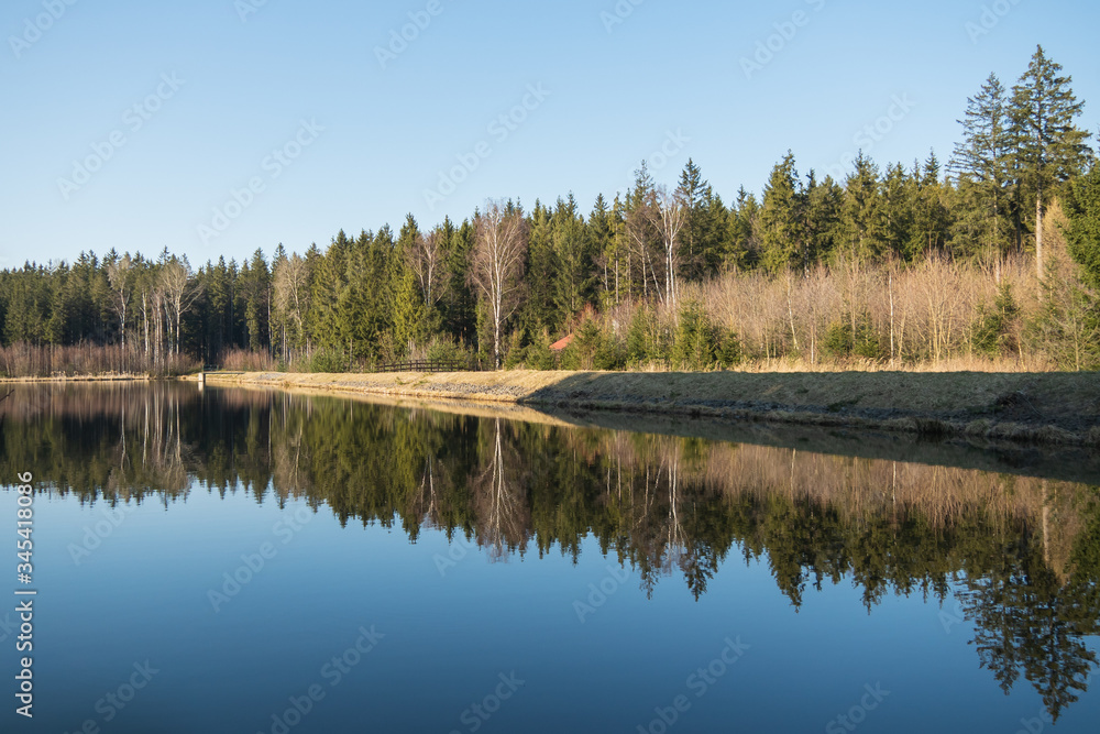 Green forest by the lake in reflection in the water beauty in nature Green forest by the lake in reflection in the water beauty in nature