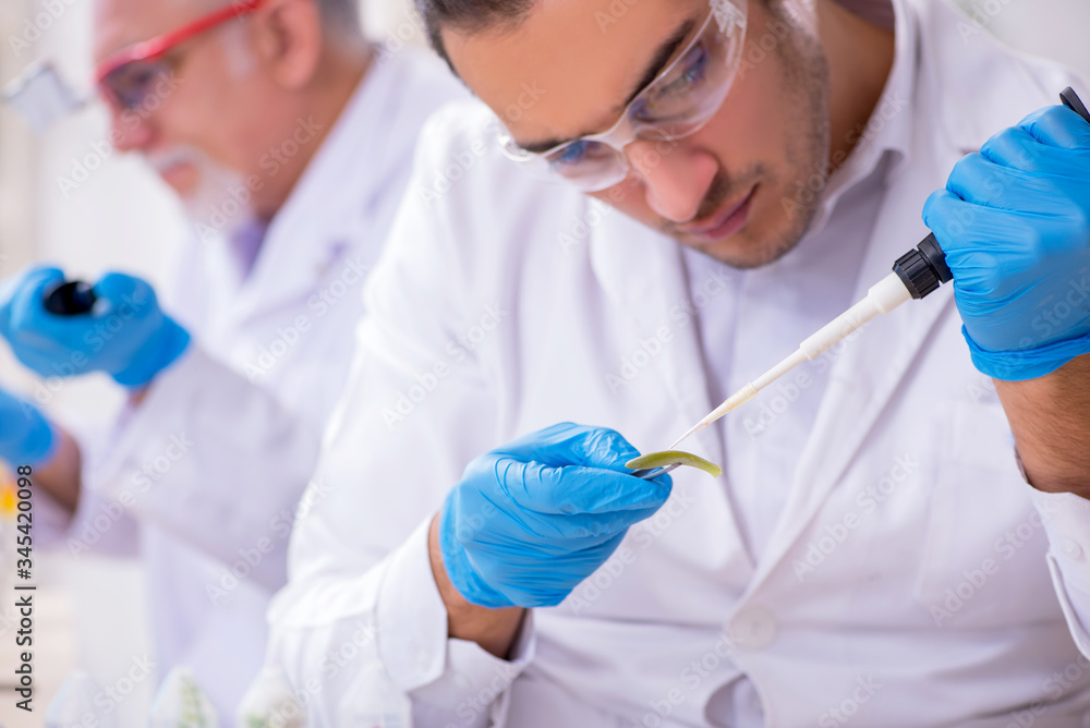 Two chemists working in the lab