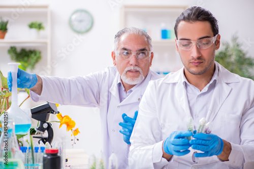 Two chemists working in the lab