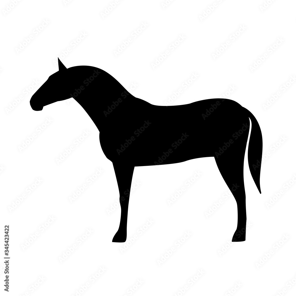 Horse silhouette isolated on white background.