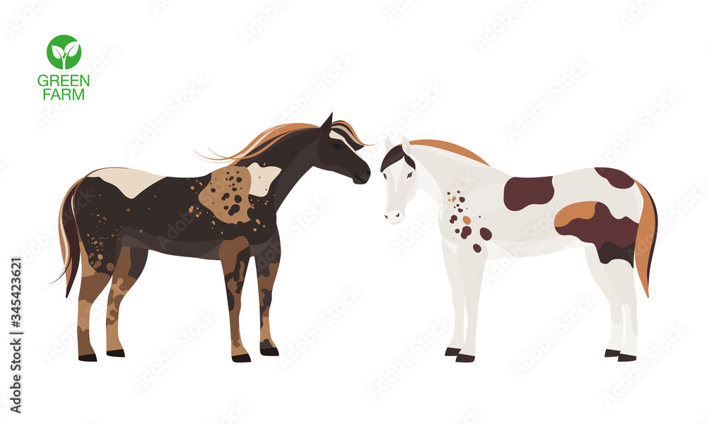 Horses vector illustration isolated on white background. Farm animal. Wild Mustang. Horses vector illustration isolated on white background. Farm animal. Wild Mustang.