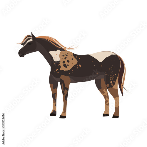 Horse vector illustration isolated on white background. Farm animal. Wild Mustang.