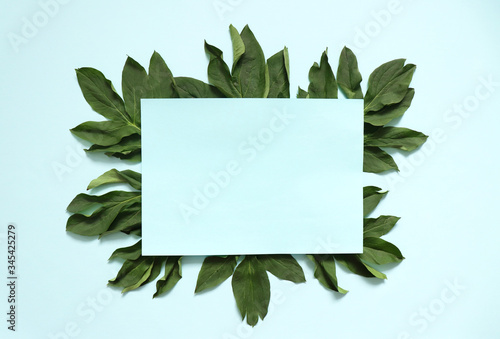 Green peony leaves in the form of a frame . A blue pastel leaf lies on top of fresh green leaves. Copy space. Selective focus. Natural background