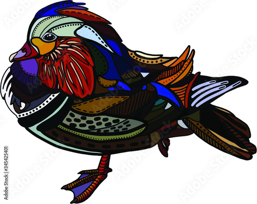 Colorful mandarin duck - vector illustration