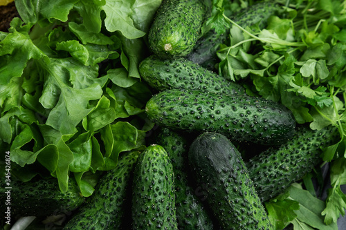 Green fresh cucumbers. Cucumbers lie on the grass. Green natural background. Vegetarianism. Dietary food.