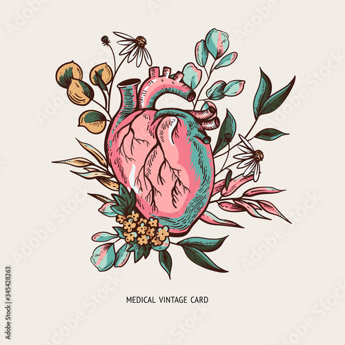 Vector human heart illustration with flowers, natural card, healthy heart,