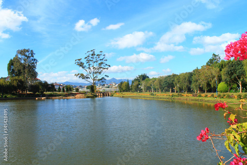 Lake view with a beautiful tree and blue sky. Da Lat, Vietnam © Irina Anashkevich