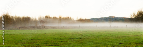 Low fog at sunrise in panoramic green meadow landscape with winter trees