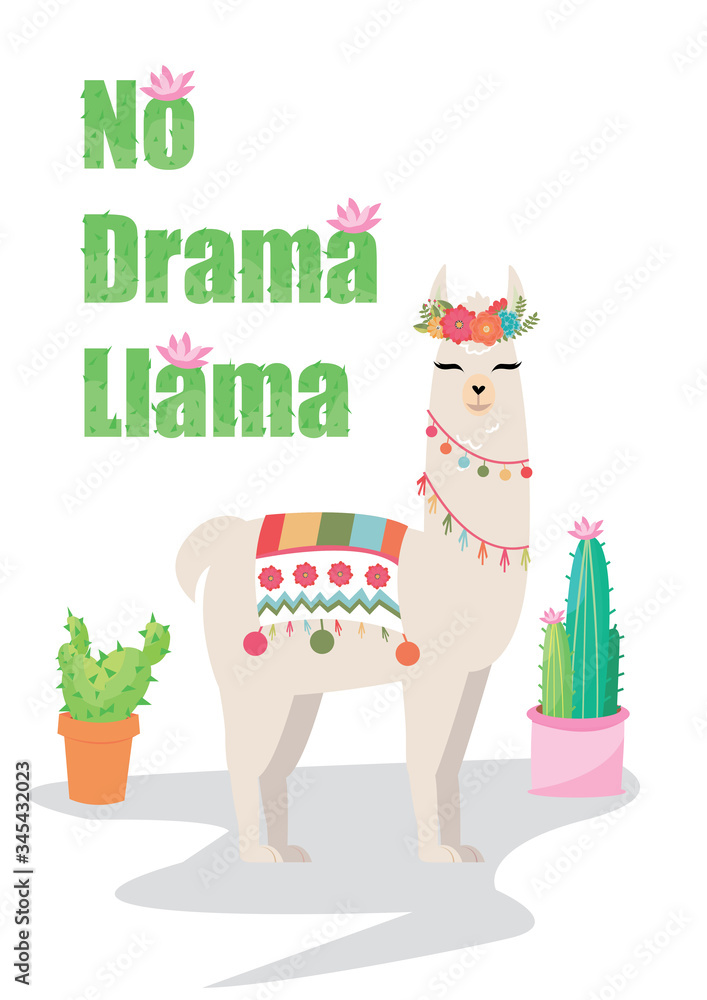 Naklejka premium no drama llama with cactus flower