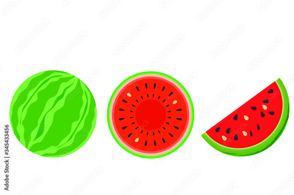 Fototapeta premium watermelon vector illustration on white background