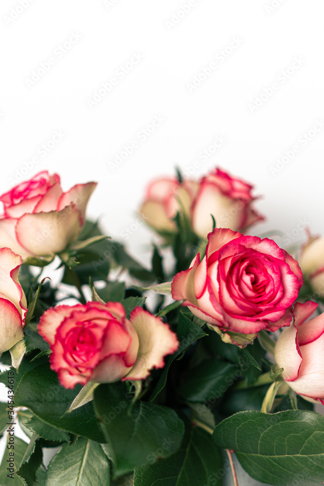 Obraz premium Strauß rosaner Rosen in Blumenvase vor weißem Hintergrund