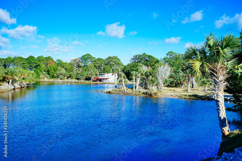 Beautiful Florida swamp winter landscape