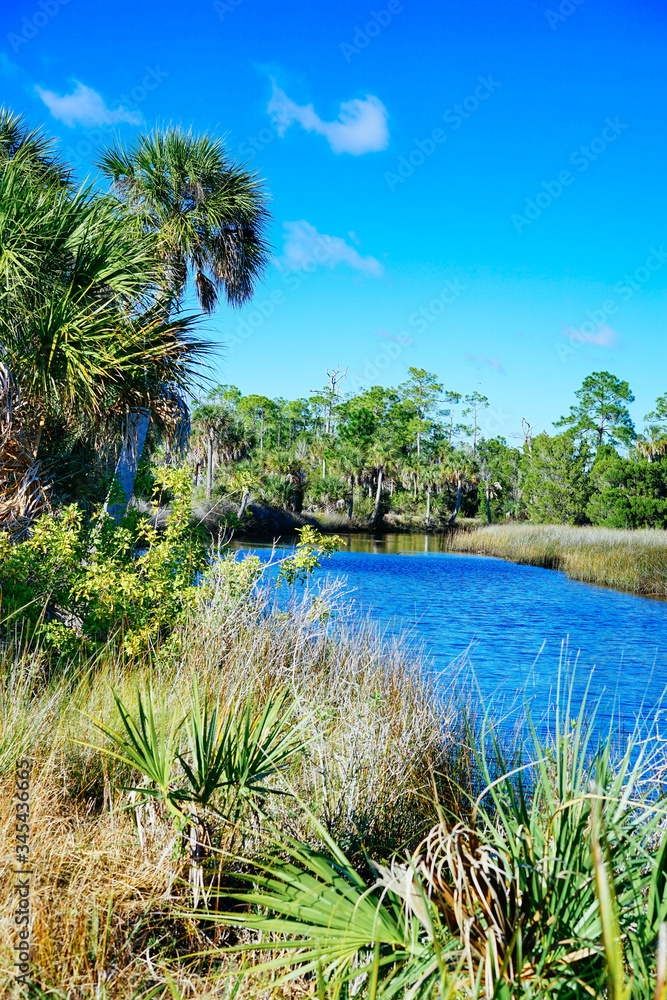 Obraz premium Florida Hernando beach and swamp