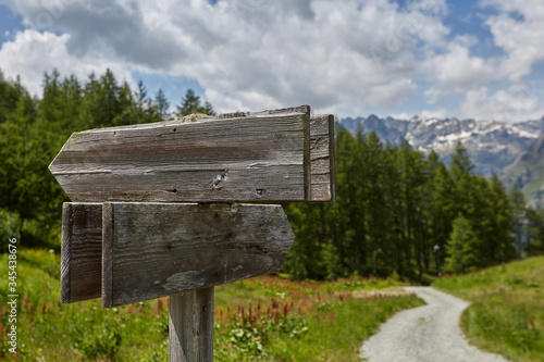 A wooden blank signpost shows the road. In the background are bright forests and mountains.