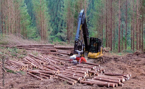 Logging Equipment Wood Harvesting
