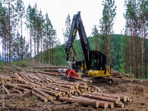 Logging Equipment Wood Harvesting