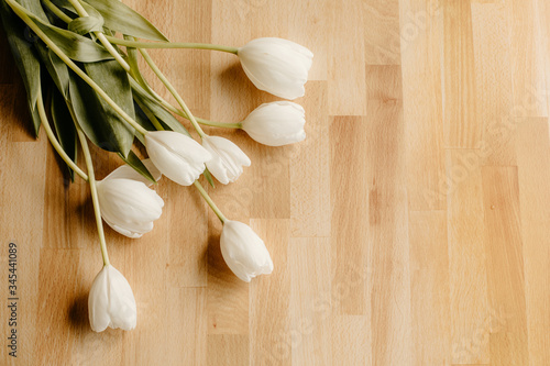 tulip on wooden background