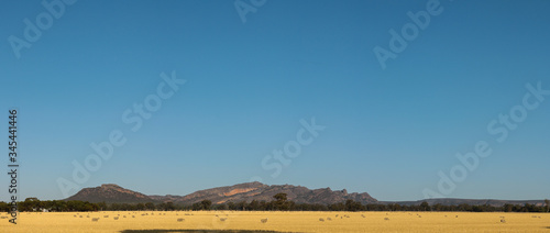 Panoramic view of rolling farm fields of freshly harvested hay on rural properties in Victoria with part of the Grampians National Park mountain range rising in the background