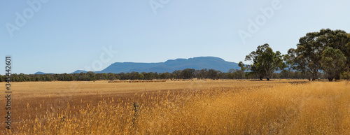 Panoramic view of rolling farm fields of freshly harvested hay on rural properties in Victoria with part of the Grampians National Park mountain range rising in the background © fieldofvision