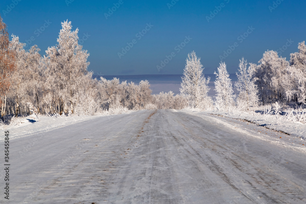 Winter road among the snowy birch grove Winter road among the snowy birch grove