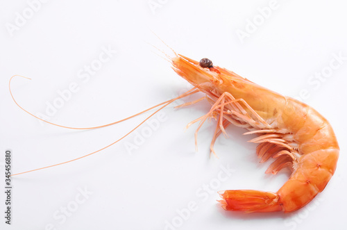 shrimp or prawn isolated on a white background