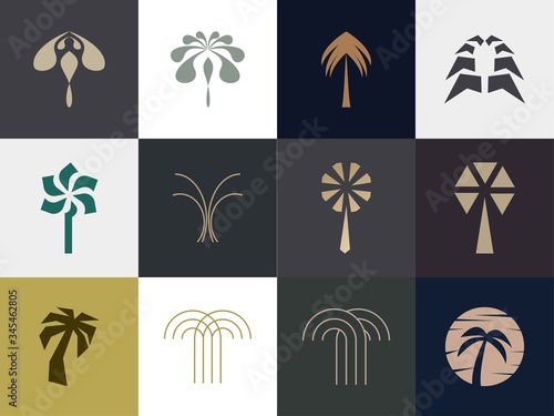 set of Premium palm logo design