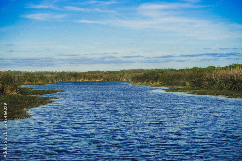 river near a forested swamp in Gemini Springs Florida. river near a forested swamp in Gemini Springs Florida.