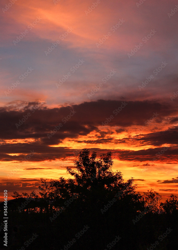 Silhouette Sunset in Tucson