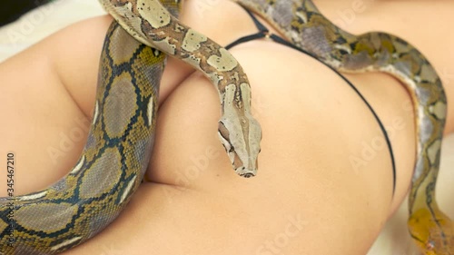 Close up python crawling on naked female body. Sexy womans butt close up. Snake therapy in spa salon. photo