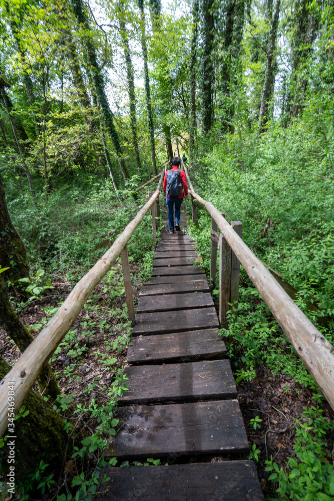 Fototapeta premium Mindelsee am Bodensee Radolfzell