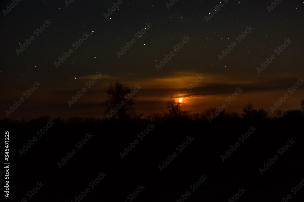 Landscape with the trees silhouettes and night sky with many stars Landscape with the trees silhouettes and night sky with many stars
