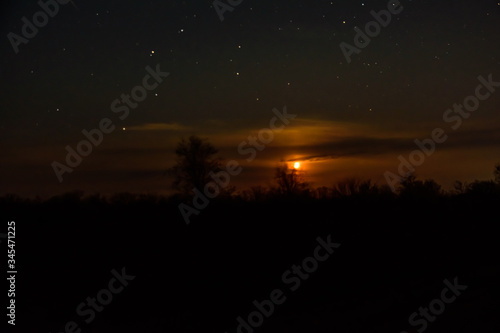 Landscape with the trees silhouettes and night sky with many stars