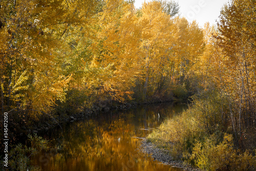 A beautiful autumn view of a flowing creek