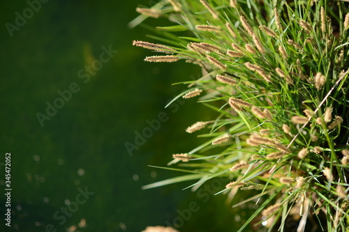 Wall paper or slide for powerpoint