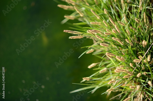 Wall paper or slide for powerpoint