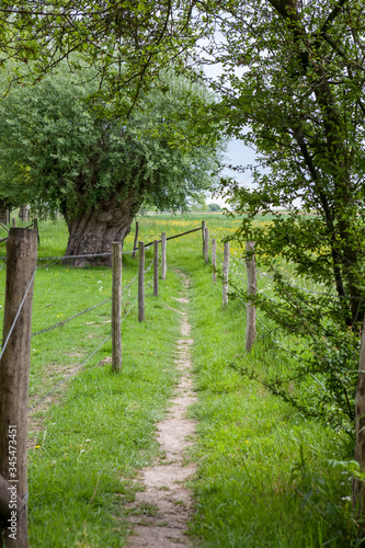 A bicycle street in the middle of nature