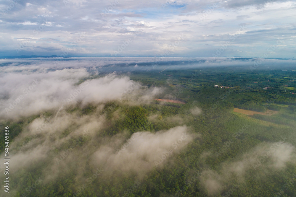 Aerial view green tree mountain forest with fog morning scene Aerial view green tree mountain forest with fog morning scene