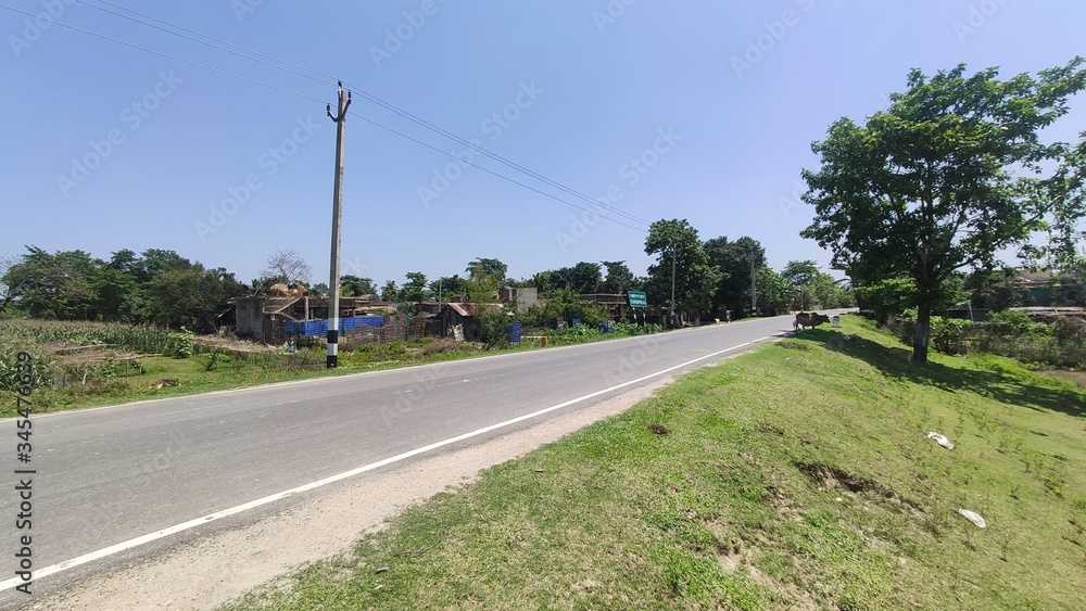 Fototapeta premium road in the countryside