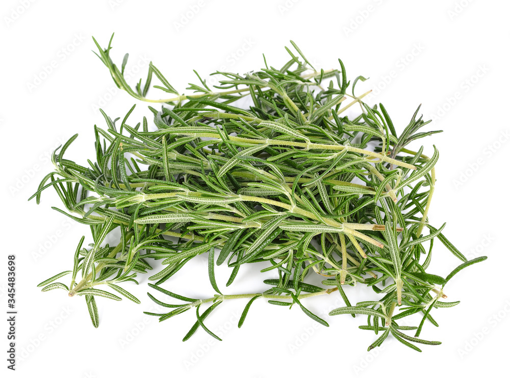 rosemary isolated on white background rosemary isolated on white background