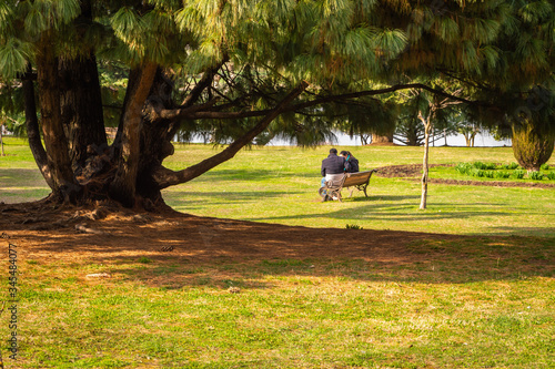 A couple sitting in a public park in Srinagar, Kashmir. A different perspective. Romance in park photo