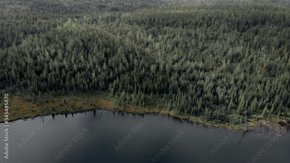 Gorgeous Scenery Of Suzan Lake In Canada With Green Pine Trees - Aerial Shot Gorgeous Scenery Of Suzan Lake In Canada With Green Pine Trees - Aerial Shot