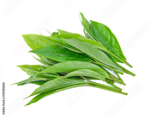 Tea leaves on a white background