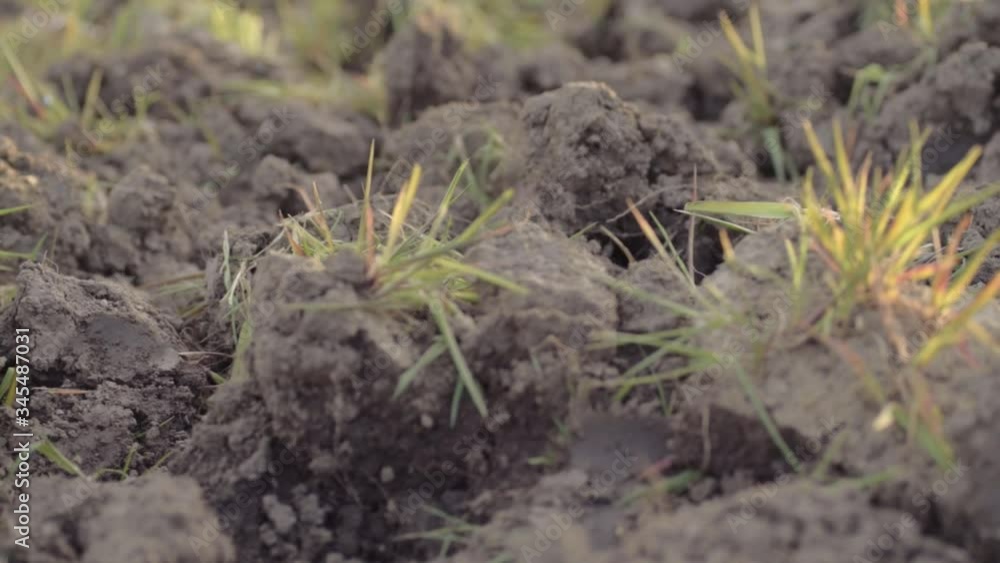 Ploughed farmers field soil close up panning shot Ploughed farmers field soil close up panning shot