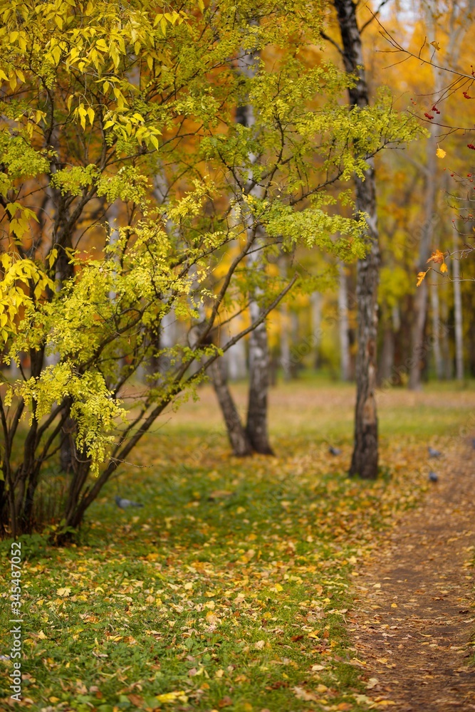 autumn square