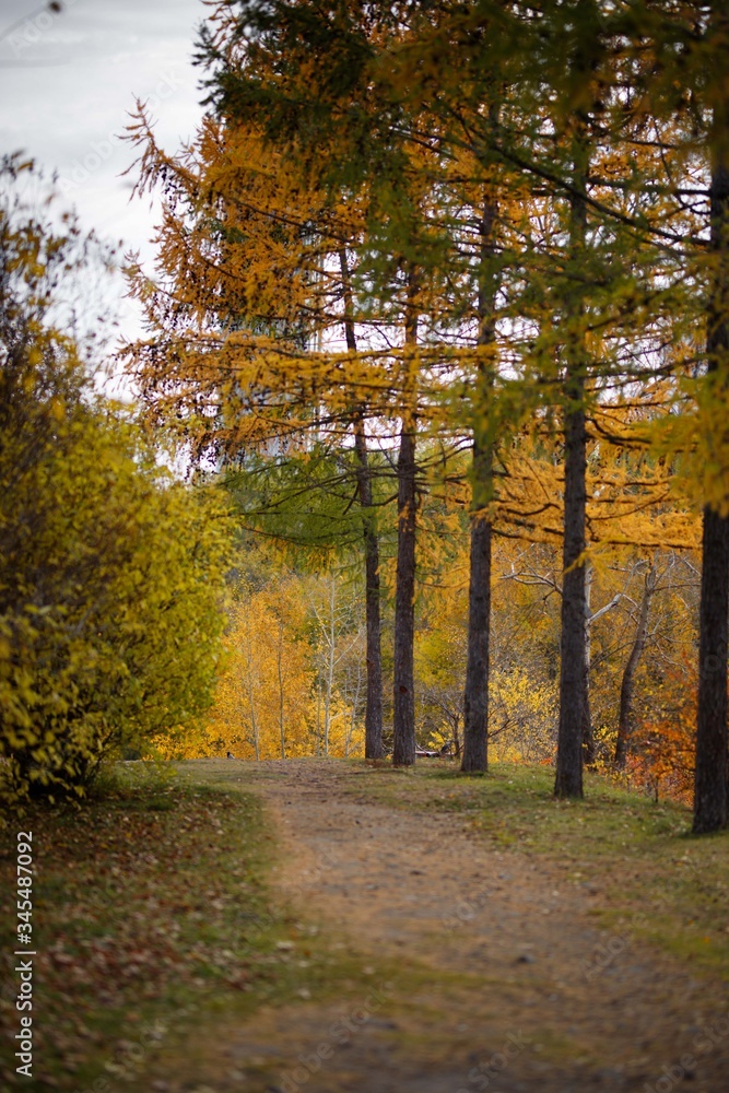 Fototapeta premium autumn square