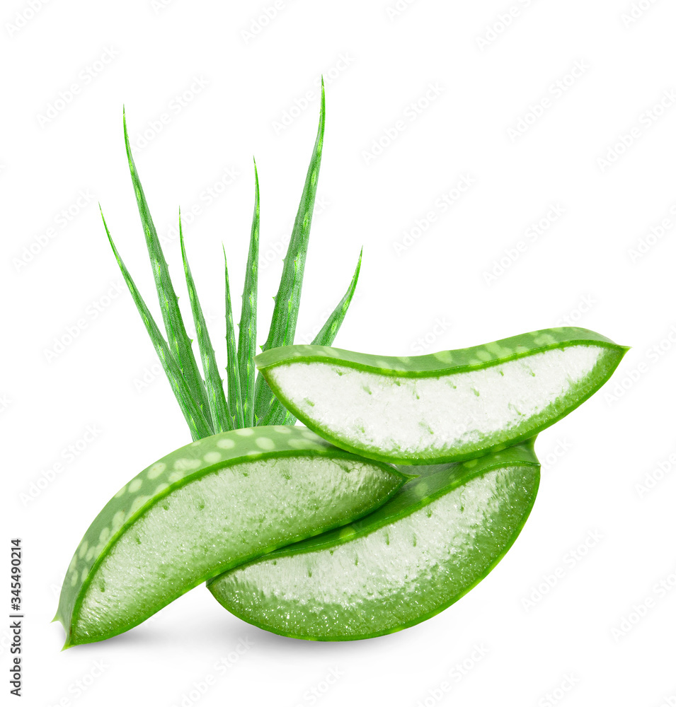 Aloe vera slice on white background. Aloe vera slice on white background.