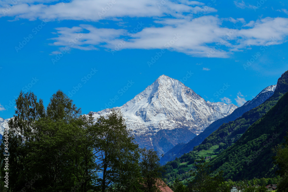 Panorama in canton Uri, Switzerland with swiss Alps